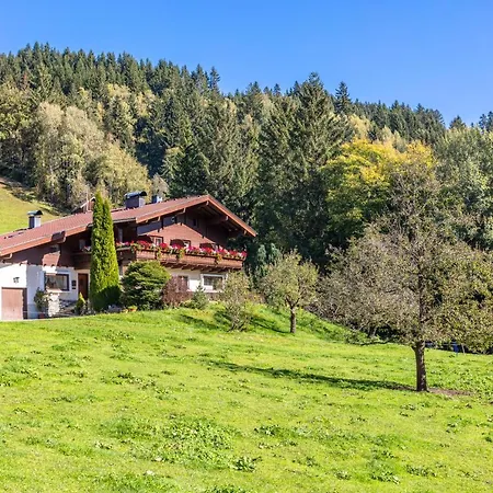 Berger ホームステイ *