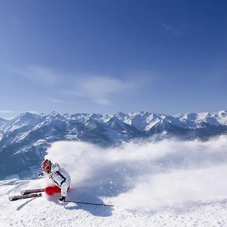 ホームステイ Berger *