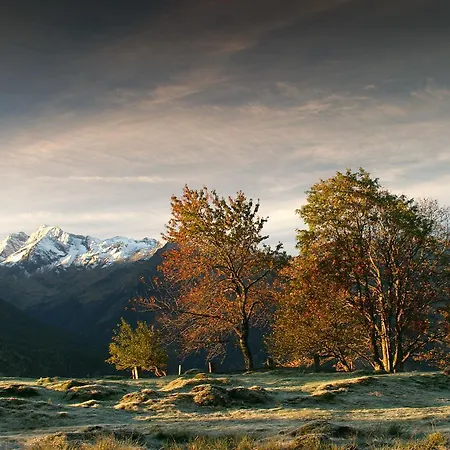 Berger * ミッタージル