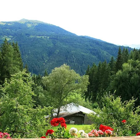 Berger ホームステイ