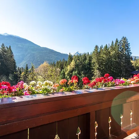 Berger ホームステイ