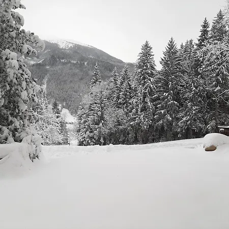 Berger ホームステイ ミッタージル